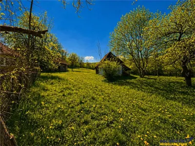 Casa traditionala,zona pitoreasca,domeniu de 3.400 mp,Suveica,Acatari,Mures - foto 3