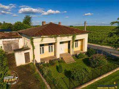 OFERTA REZERVATA! Domeniu de 4.000 mp intravilan+ casa autentica, in podgoriile Odobesti,Vrancea - foto 5