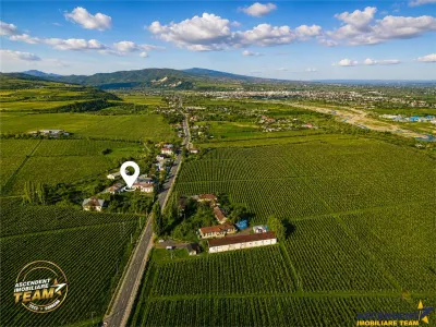 OFERTA REZERVATA! Domeniu de 4.000 mp intravilan+ casa autentica, in podgoriile Odobesti,Vrancea - foto 7