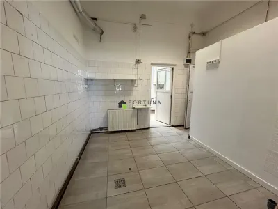 Spatiu comercial cu vad strada Harmanului, Craiter - foto 3