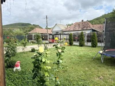 Casa la cheie, Dipsa, Jud.B-N - foto 21