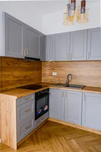 Penthouse de inchiriat Sanmartin - foto 7