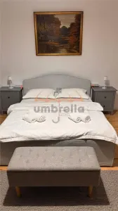 Spatiu de inchiriat, zona Horea,  48m² - foto 6