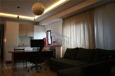 APARTAMENT 2 CAM,  MATEI VOIEVOD - foto 2