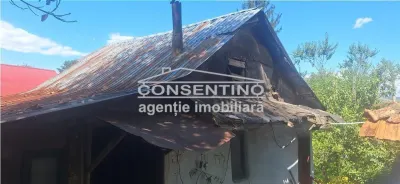 Se vinde teren intravilan 3167 mp , in sat Magura - foto 7