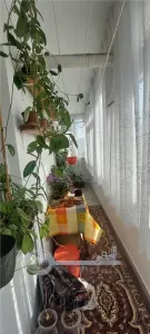 ZIMBRU 2 CAMERE DECOMANDAT BLOC 1988 ETAJ 3 DIN 8 - foto 7