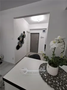 GARSONIERA TOTUL NOU ZONA PODU ROS ETAJ 1 LIBERA - foto 11