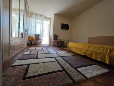 Apartament 1 camera in bloc de caramida - Timisoara