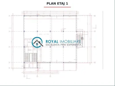 Royal Imobiliare - Inchiriere spatiu birouri zona Cantacuzino - Podul Inalt - foto 5