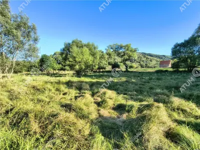 Teren extravilan 2420 mp in Fantanele langa Sibiu - oportunitate investitie - foto 3