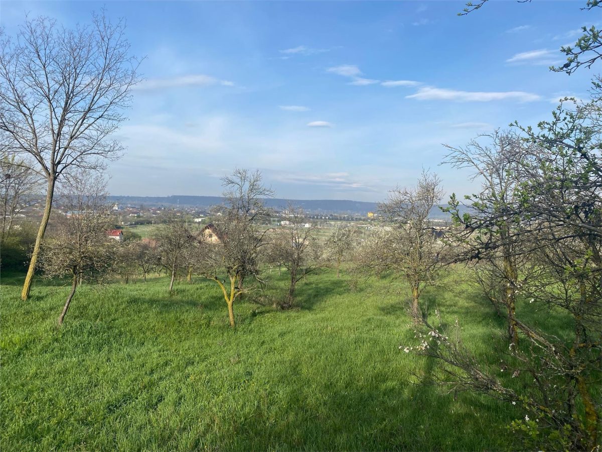 Teren cu suprafata generoasa, situat in zona linistita, la 15 minute de Ploiesti - Boldesti-Scaeni