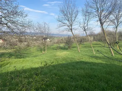 Teren cu suprafata generoasa, situat in zona linistita, la 15 minute de Ploiesti - foto 2