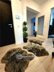 Apartament 3 camere, Moara de vant - foto 2