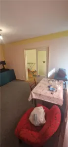 Apartament la Parter zona Sagului P-ta Doina - foto 9