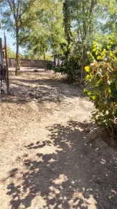 RECO Teren generos in Cetariu - foto 3