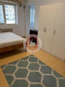 Parcul Crangasi | Garsoniera | Decomandat | 33mp | B11489 - Bucuresti