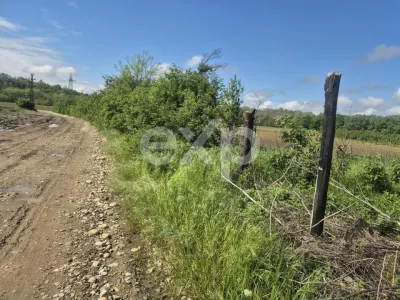 De vanzare teren la super pret in Albota, Cerbu, Arges - Albota