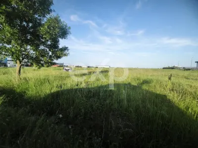 ALBOTA | Teren intravilan 21.494 mp | Deschidere DN65 – 107 ml | Utilități - foto 3