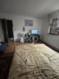 Casa 3 camere 2 bai P+M teren 1732 mp Garleni Dambovita - foto 16