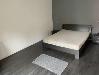 Casă individuală 3 camere | 115 mp | Calea Girocului | Curte proprie | Parcare 2 mașini - foto 3