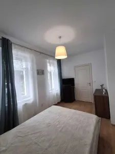 Apartament 1 camera zona Bucsinescu- 390 euro - foto 3