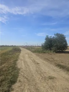 Oportunitate Investitie - Dragomiresti Vale - Zurbaua - A1 - A0 - sos Centura - foto 11