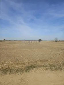 Oportunitate Investitie - Dragomiresti Vale - Zurbaua - A1 - A0 - sos Centura - foto 10
