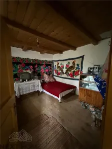 Casa cu teren 5.913 mp de vanzare in Paltin, Vrancea - zona pitoreasca - foto 5