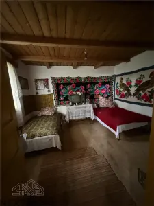 Casa cu teren 5.913 mp de vanzare in Paltin, Vrancea - zona pitoreasca - foto 6