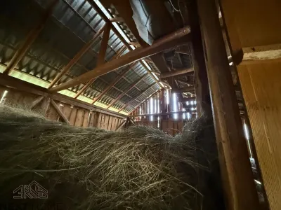 Teren 2,9 hectare cu casa, livezi si anexe de vanzare in Paltin, Vrancea - foto 11