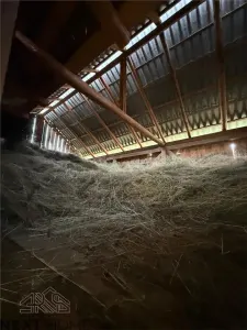 Teren 2,9 hectare cu casa, livezi si anexe de vanzare in Paltin, Vrancea - foto 13