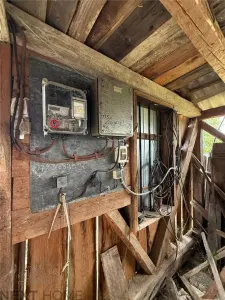 Teren 2,9 hectare cu casa, livezi si anexe de vanzare in Paltin, Vrancea - foto 15
