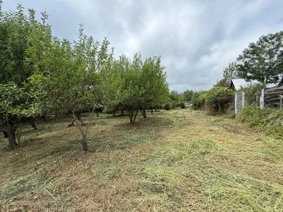 Teren 2,9 hectare cu casa, livezi si anexe de vanzare in Paltin, Vrancea - foto 8