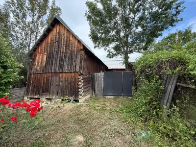 Teren 2,9 hectare cu casa, livezi si anexe de vanzare in Paltin, Vrancea - foto 9