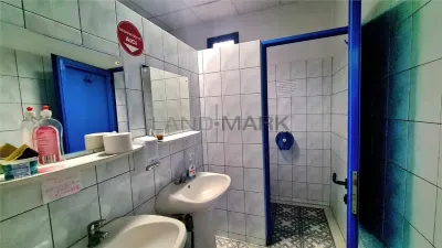EXCLUSIV Spatiu comercial 296 mp la bulevard, zona centrala. - foto 13