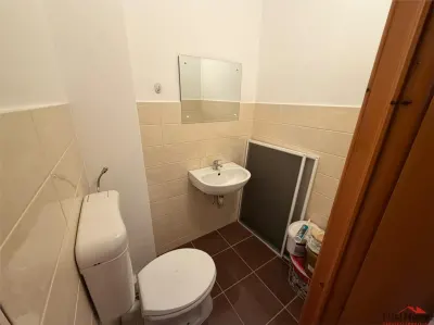 Apartament 3 camere, parter, zona Biserica Catolica - foto 16