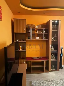 SAGULUI - IOSEFIN - 3 CAMERE - ETAJ 1 - CENTRALA PROPRIE - CLIMA - RENOVAT - foto 9