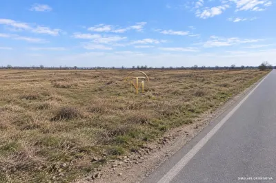 Teren 30.000 mp | PUZ si certificat de urbanism | Centura Pantelimon - foto 2