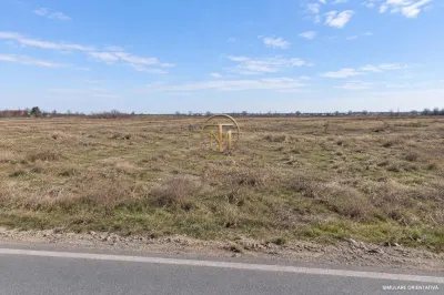 Teren 30.000 mp | PUZ si certificat de urbanism | Centura Pantelimon - foto 3