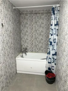 Casa si spatiu comercial zona Vasile Lascar - foto 12