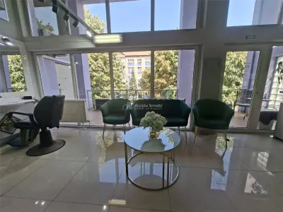 Spatiu comercial de inchiriat Sibiu- Vasile Milea - Sibiu