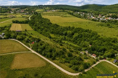 Teren extravilan 4.500 mp, livada, acces facil, parcelabil, potential investitional, Sancraiu - foto 7