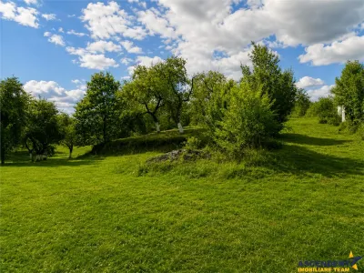 Teren extravilan 4.500 mp, livada, acces facil, parcelabil, potential investitional, Sancraiu - foto 6