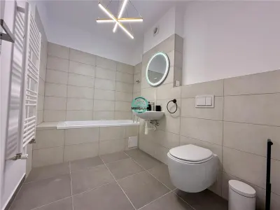 Apartament cu 2 camere de inchiriat, cu parcare, complex Maurer - foto 6