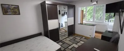 Inchiriere Apartament 2 Camere Decomandat Emil Racovita - foto 3