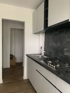 Apartament 2 camere decomandat | Podu Roș | Prima închiriere | Totul nou | Aproape de Palas - foto 2