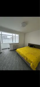 Apartament 2 camere decomandat | Podu Roș | Prima închiriere | Totul nou | Aproape de Palas - foto 8