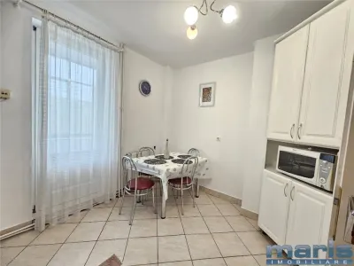 Inchiriere apartament 2 camere Centru - Policlinica 2 - foto 8