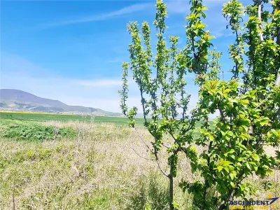 Unitate investitionala: 47.577 mp, Codlea .-. Ghimbav, acces facil, ariere remarcabila - foto 15