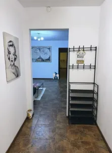 Apartament 3 Camere Semidecomandat Emil Racovita - foto 6